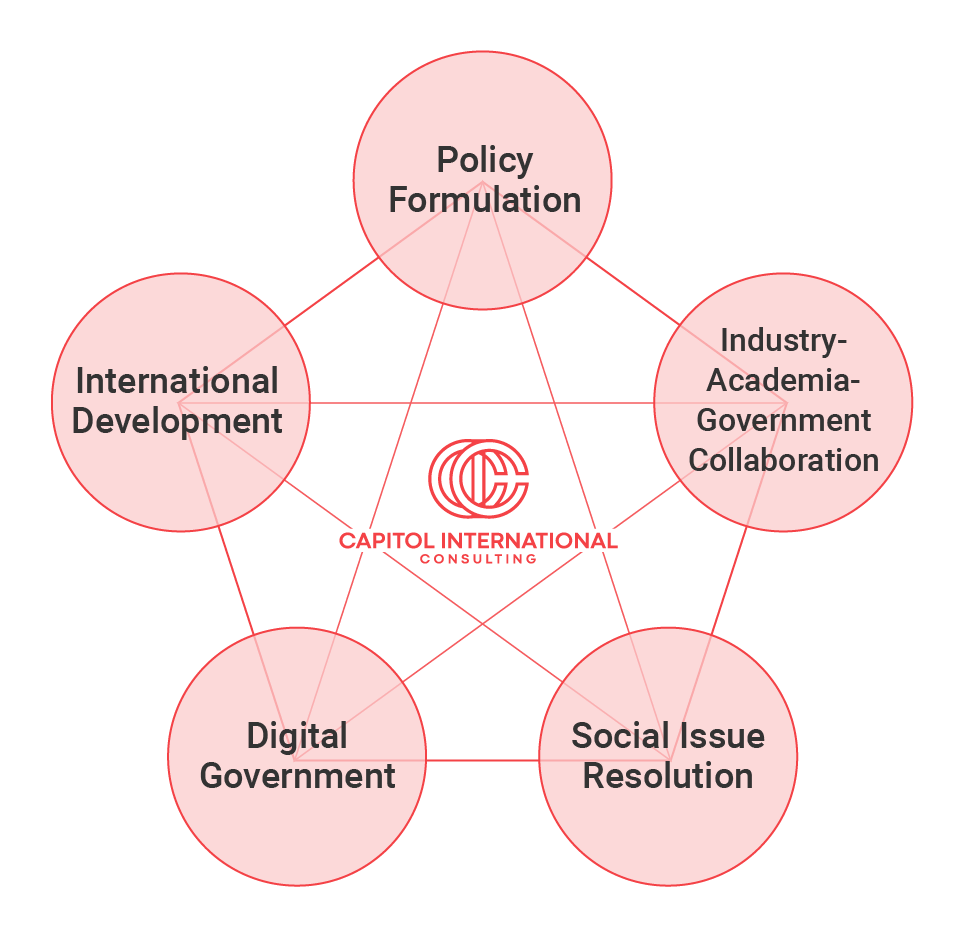 CIC's Consulting and project support for public organizations